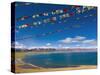 Prayer Flags at Nam Tso Lake, Central Tibet-Michele Falzone-Stretched Canvas
