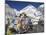 Prayer Flags at the Everest Base Camp Sign, Sagarmatha National Park, Himalayas-Christian Kober-Mounted Photographic Print