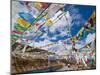 Prayer Flags Crossing the Friendship Highway Between Lhasa and Kathmandu, Tibet, China, Asia-Michael Runkel-Mounted Photographic Print