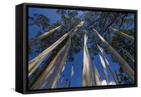 Prayer Flags, Dochula, Bhutan-Michael Runkel-Framed Stretched Canvas