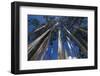 Prayer Flags, Dochula, Bhutan-Michael Runkel-Framed Photographic Print