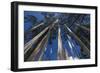 Prayer Flags, Dochula, Bhutan-Michael Runkel-Framed Photographic Print