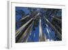 Prayer Flags, Dochula, Bhutan-Michael Runkel-Framed Photographic Print