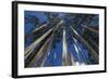 Prayer Flags, Dochula, Bhutan-Michael Runkel-Framed Photographic Print