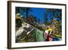 Prayer Flags, Dochula, Bhutan-Michael Runkel-Framed Photographic Print