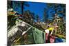 Prayer Flags, Dochula, Bhutan-Michael Runkel-Mounted Photographic Print