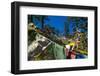 Prayer Flags, Dochula, Bhutan-Michael Runkel-Framed Photographic Print