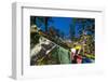 Prayer Flags, Dochula, Bhutan-Michael Runkel-Framed Photographic Print