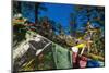 Prayer Flags, Dochula, Bhutan-Michael Runkel-Mounted Photographic Print