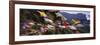 Prayer Flags in Front of a Monastery on a Mountain, Taktshang, Paro Valley, Bhutan-null-Framed Photographic Print