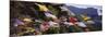 Prayer Flags in Front of a Monastery on a Mountain, Taktshang, Paro Valley, Bhutan-null-Mounted Photographic Print