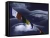 Prayer Flags Infront of Clouds, Nepal-Michael Brown-Framed Stretched Canvas