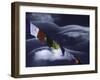 Prayer Flags Infront of Clouds, Nepal-Michael Brown-Framed Premium Photographic Print