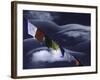 Prayer Flags Infront of Clouds, Nepal-Michael Brown-Framed Photographic Print