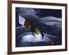 Prayer Flags Infront of Clouds, Nepal-Michael Brown-Framed Photographic Print