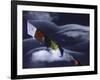 Prayer Flags Infront of Clouds, Nepal-Michael Brown-Framed Photographic Print