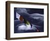 Prayer Flags Infront of Clouds, Nepal-Michael Brown-Framed Photographic Print