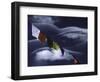 Prayer Flags Infront of Clouds, Nepal-Michael Brown-Framed Photographic Print