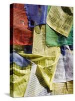 Prayer Flags, Mahakala Temple, Observatory Hill, Darjeeling, West Bengal, India-Jane Sweeney-Stretched Canvas