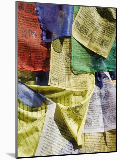 Prayer Flags, Mahakala Temple, Observatory Hill, Darjeeling, West Bengal, India-Jane Sweeney-Mounted Photographic Print
