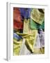 Prayer Flags, Mahakala Temple, Observatory Hill, Darjeeling, West Bengal, India-Jane Sweeney-Framed Photographic Print