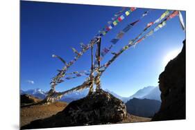 Prayer flags, Mustang, Nepal, Himalayas, Asia-null-Mounted Premium Photographic Print