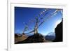 Prayer flags, Mustang, Nepal, Himalayas, Asia-null-Framed Photographic Print