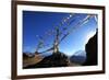 Prayer flags, Mustang, Nepal, Himalayas, Asia-null-Framed Photographic Print