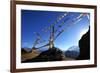 Prayer flags, Mustang, Nepal, Himalayas, Asia-null-Framed Photographic Print