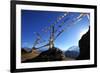 Prayer flags, Mustang, Nepal, Himalayas, Asia-null-Framed Photographic Print
