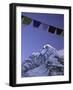 Prayer Flags, Nepal-Michael Brown-Framed Photographic Print