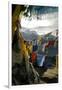 Prayer Flags on Summit of Gokyo Ri, Everest Region, Mt Everest, Nepal-David Noyes-Framed Premium Photographic Print