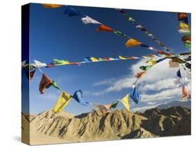 Prayer Flags on the Peak of Victory, Leh, Ladakh, Indian Himalayas, India, Asia-Jochen Schlenker-Stretched Canvas