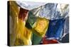 Prayer Flags on the Summit of Gokyo Ri, Gokyo, Nepal-David Noyes-Stretched Canvas