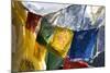 Prayer Flags on the Summit of Gokyo Ri, Gokyo, Nepal-David Noyes-Mounted Photographic Print