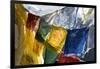 Prayer Flags on the Summit of Gokyo Ri, Gokyo, Nepal-David Noyes-Framed Photographic Print