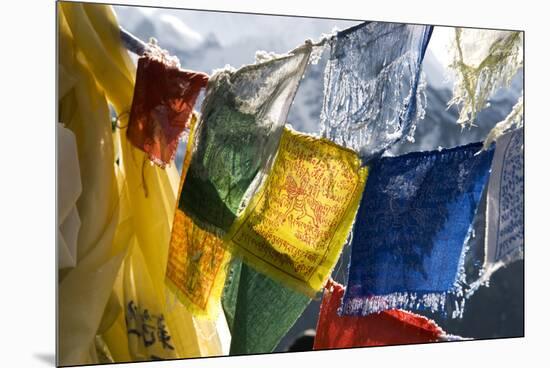 Prayer Flags on the Summit of Gokyo Ri, Gokyo, Nepal-David Noyes-Mounted Premium Photographic Print