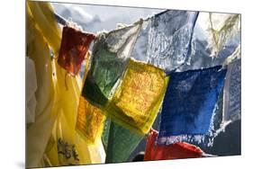 Prayer Flags on the Summit of Gokyo Ri, Gokyo, Nepal-David Noyes-Mounted Premium Photographic Print