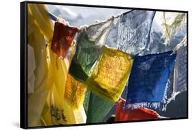 Prayer Flags on the Summit of Gokyo Ri, Gokyo, Nepal-David Noyes-Framed Stretched Canvas