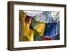 Prayer Flags on the Summit of Gokyo Ri, Gokyo, Nepal-David Noyes-Framed Photographic Print