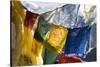 Prayer Flags on the Summit of Gokyo Ri, Gokyo, Nepal-David Noyes-Stretched Canvas