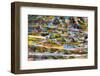 Prayer flags on Tibetan Plateau, Namtso (Lake Nam), Tibet, China-Keren Su-Framed Photographic Print