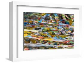 Prayer flags on Tibetan Plateau, Namtso (Lake Nam), Tibet, China-Keren Su-Framed Photographic Print