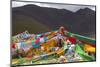 Prayer flags on Tibetan Plateau with Tanggula Mountain, Namtso (Lake Nam), Tibet, China-Keren Su-Mounted Photographic Print