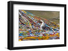 Prayer flags with juniper incense burner on Tibetan Plateau, Namtso (Lake Nam), Tibet, China-Keren Su-Framed Photographic Print