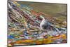 Prayer flags with juniper incense burner on Tibetan Plateau, Namtso (Lake Nam), Tibet, China-Keren Su-Mounted Photographic Print