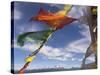 Prayer Flags with Snowy Kangchendzonga Beyond in Morning Light, Sandakphu, West Bengal State-Eitan Simanor-Stretched Canvas