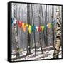 Prayer Flags, Woodstock, NY-Kelly Sinclair-Framed Stretched Canvas