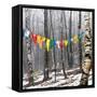 Prayer Flags, Woodstock, NY-Kelly Sinclair-Framed Stretched Canvas