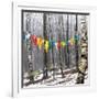 Prayer Flags, Woodstock, NY-Kelly Sinclair-Framed Photographic Print